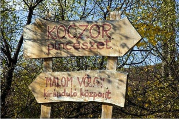 Koczor Winery & Guesthouse Balatonfüred Eksteriør billede