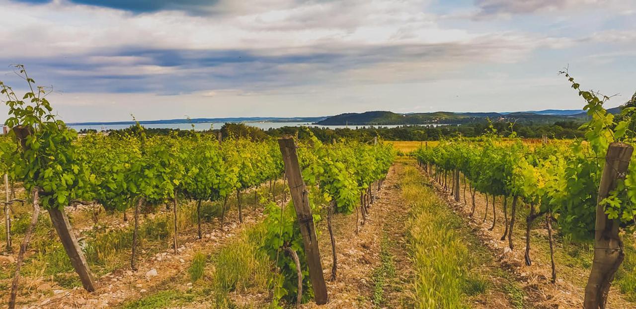 Koczor Winery & Guesthouse Balatonfüred Eksteriør billede