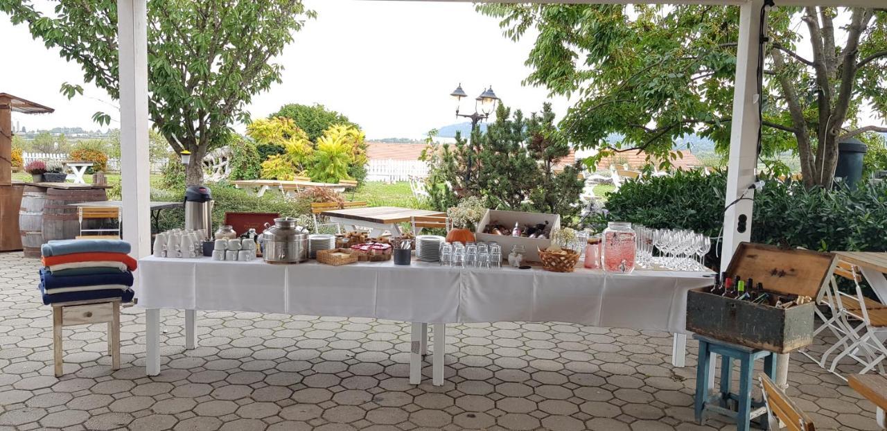 Koczor Winery & Guesthouse Balatonfüred Eksteriør billede